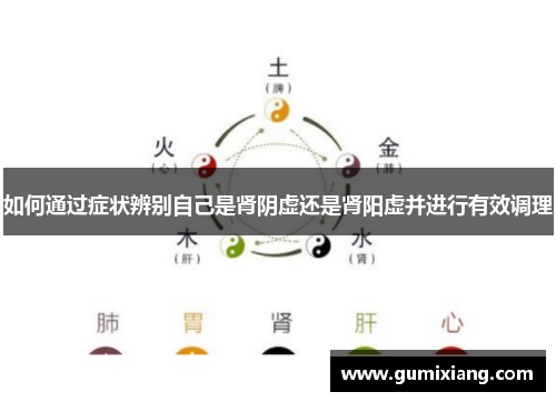 如何通过症状辨别自己是肾阴虚还是肾阳虚并进行有效调理