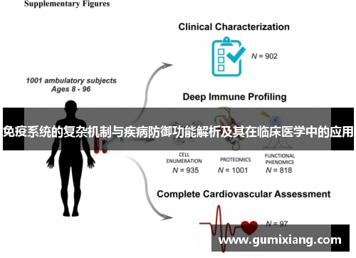 免疫系统的复杂机制与疾病防御功能解析及其在临床医学中的应用
