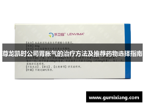 尊龙凯时公司胃胀气的治疗方法及推荐药物选择指南