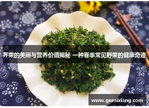 荠菜的美丽与营养价值揭秘 一种春季常见野菜的健康奇迹